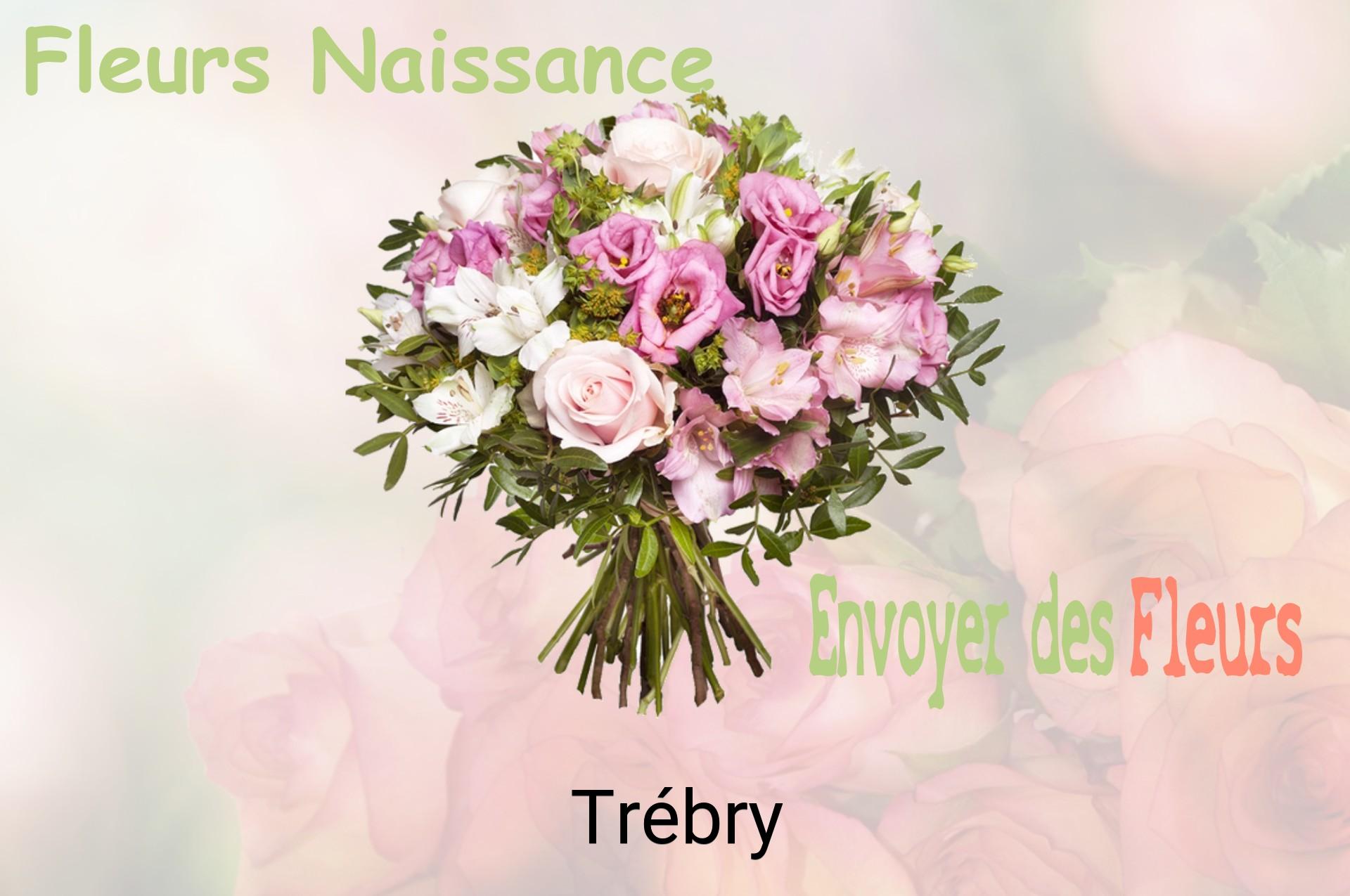 Bouquet de fleurs de naissance livré à Trébry