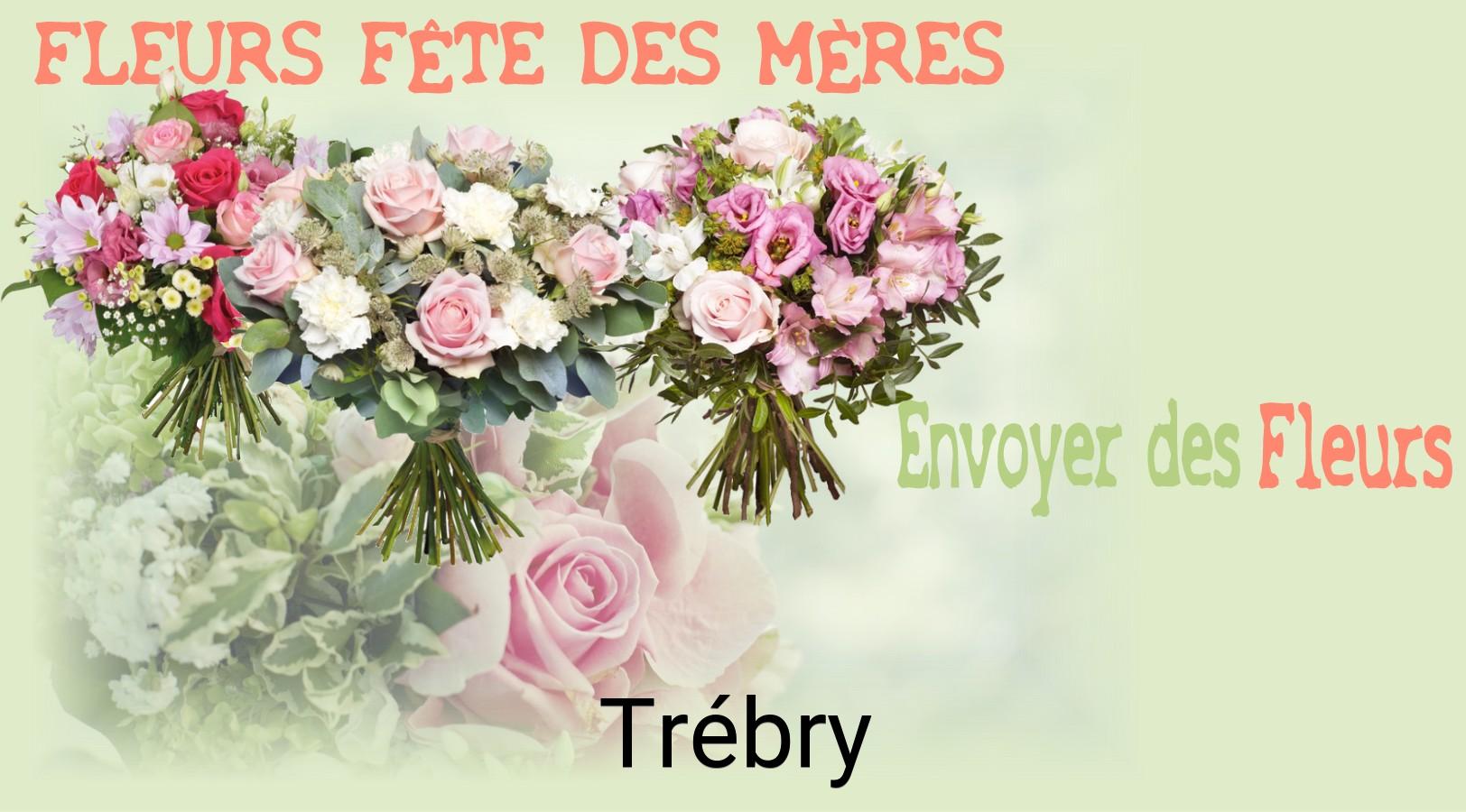 Bouquet de Fête des Mères livré à Trébry